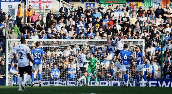 bw必威西汉姆联官方网站产品图片