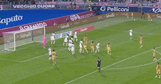专业bw必威西汉姆联官方网站服务